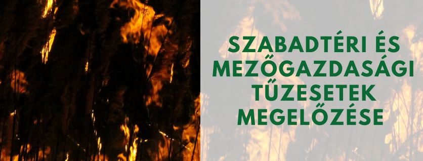 Kiállítás fejléce