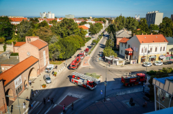 Felvonulás