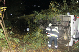 Busz másik oldalára fa dőlt