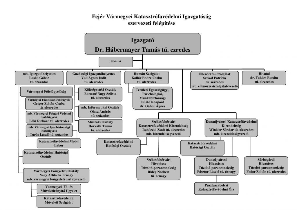szervezeti felépítés