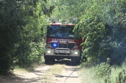 Katasztrófavédelem