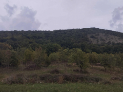 Katasztrófavédelem
