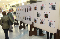 Katasztrófavédelem