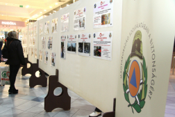 Katasztrófavédelem