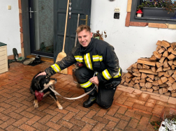 Katasztrófavédelem