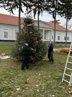 tűzoltóautókkal díszített karácsonyfa