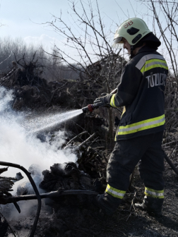 kigyulladt fagyökérzet oltása