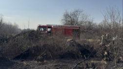 kigyulladt fagyökérzet oltása