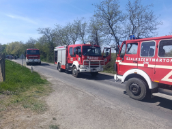 bozótos égett az út mellett