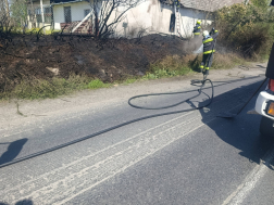 bozótos égett az út mellett