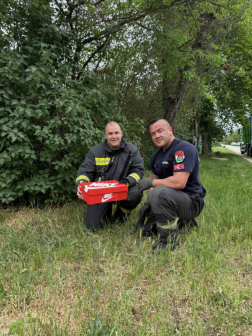 fiókákat mentettek a tűzoltók