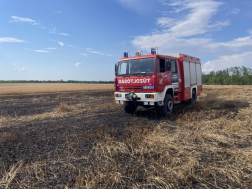 kigyulladt búzatábla oltása