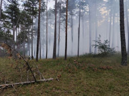 fenybes füstölgő aljnövényzetét oltják a tűzoltók