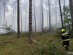fenybes füstölgő aljnövényzetét oltják a tűzoltók