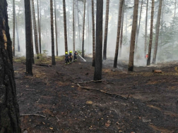 fenybes füstölgő aljnövényzetét oltják a tűzoltók