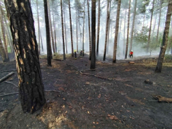 fenybes füstölgő aljnövényzetét oltják a tűzoltók