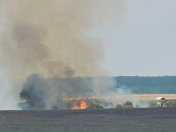 kigyulladt nádas, erdő aljnövényzetének oltása