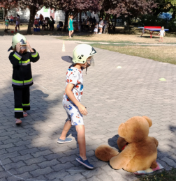kép