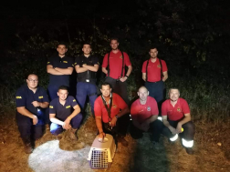 Katasztrófavédelem