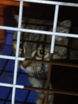 Katasztrófavédelem