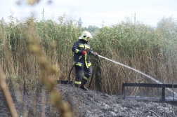 Vízsugárral olt egy tűzoltó